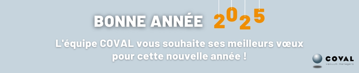 Bonne année 2025